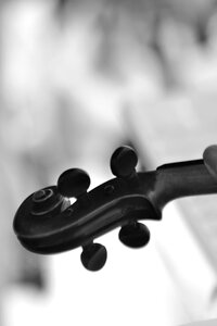 Sound musician instruments
