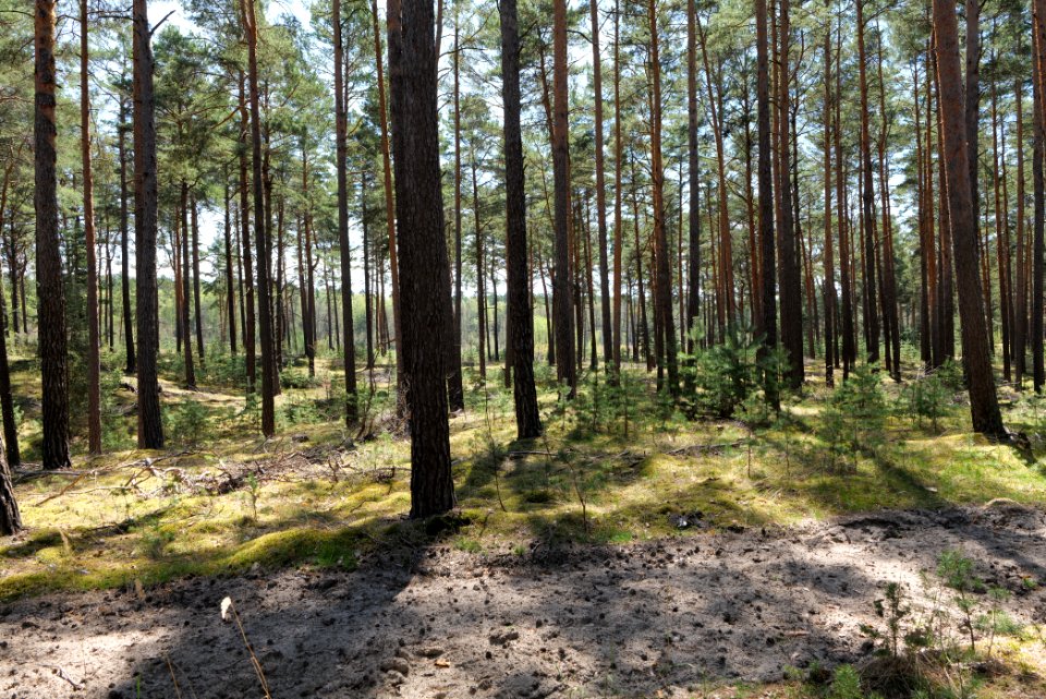 Dahme-Heideseen 2021-05-09 01