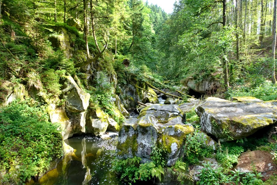 Dachsberg-Teufelsküche im Albtal-011