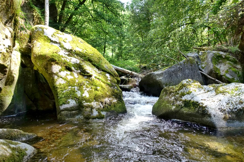 Dachsberg-Teufelsküche im Albtal-05