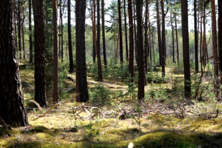 Dahme-Heideseen 2021-05-09 09