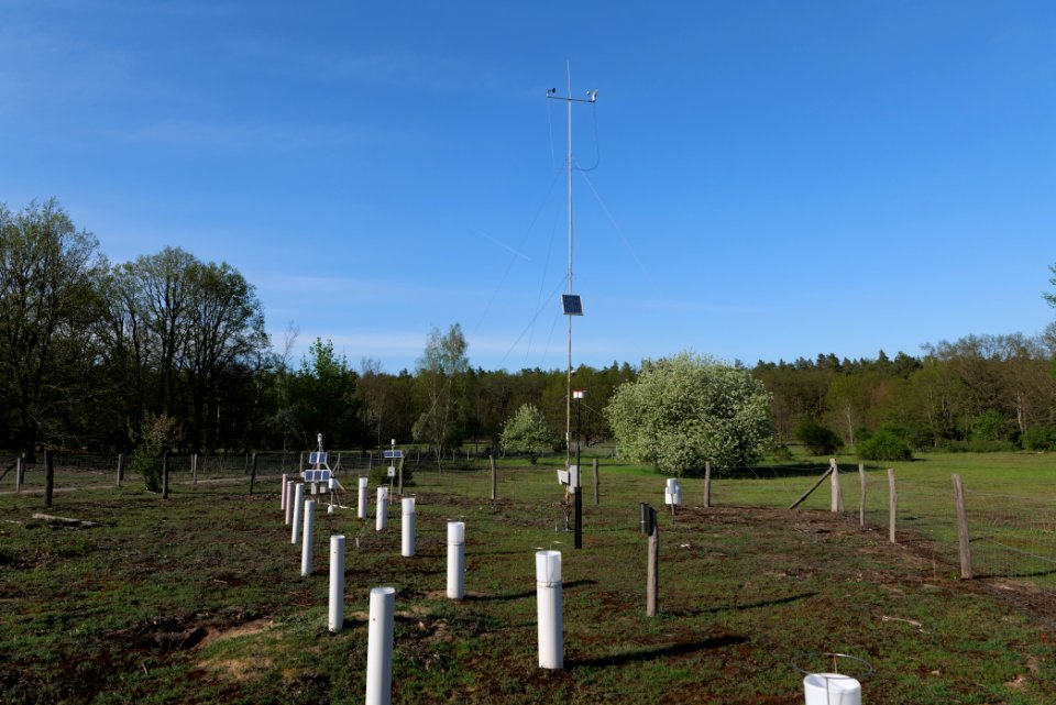 Dahlemer Feld Grunewald 2021-05-10 18