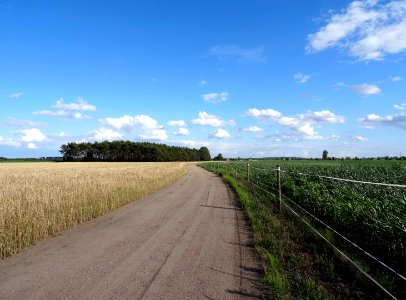 Dabrowa Wielka fields 10 7-2015