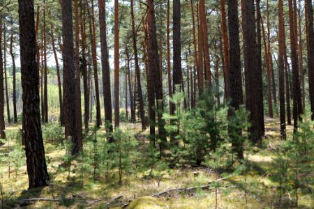 Dahme-Heideseen 2021-05-09 07