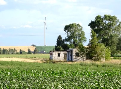 Dabrowa Wielka fields 1 7-2015