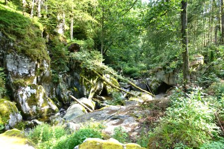 Dachsberg-Teufelsküche im Albtal-08