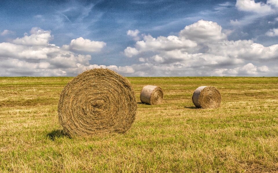 Field stubble straw bales