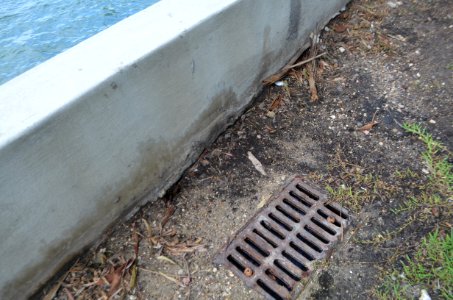 Dade BLVD canal near high tide 5