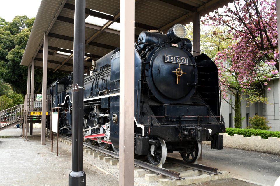 D51 853 in Asukayama Park