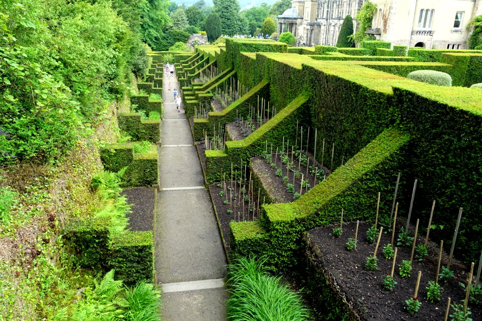 Dahlia Walk - Biddulph Grange Garden - Staffordshire, England - DSC09312