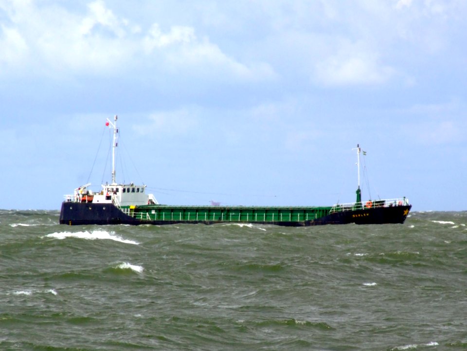 Curlew approaching Port of Rotterdam