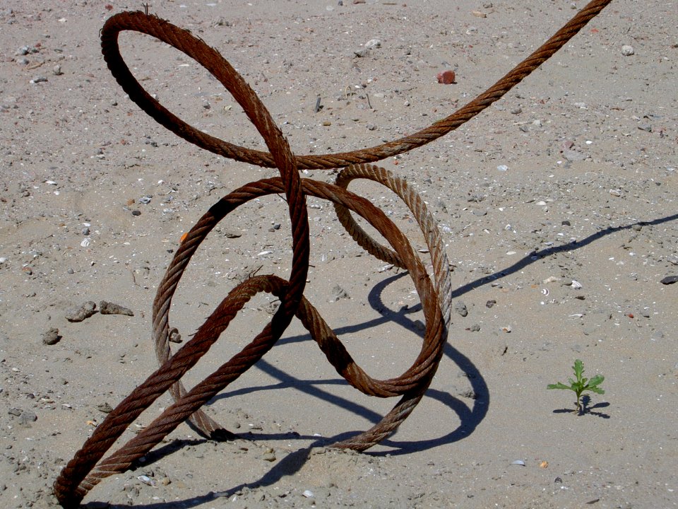 Curled rusty steel cable pic2 photo