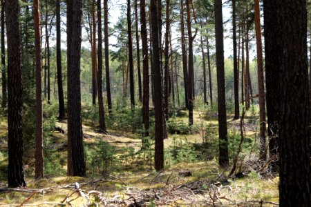 Dahme-Heideseen 2021-05-09 06