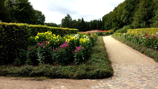Dahliengarten Altona Eingang Ost 2014-08-24