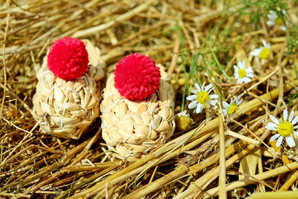 Bobble red nature