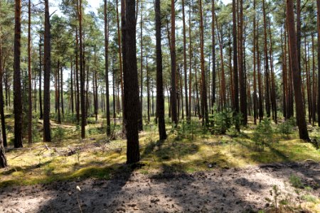 Dahme-Heideseen 2021-05-09 02