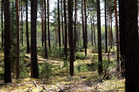 Dahme-Heideseen 2021-05-09 04