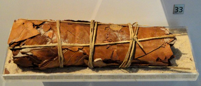 Currency of salt and fiber, Angola, collected before 1901 - Royal Ontario Museum - DSC09598
