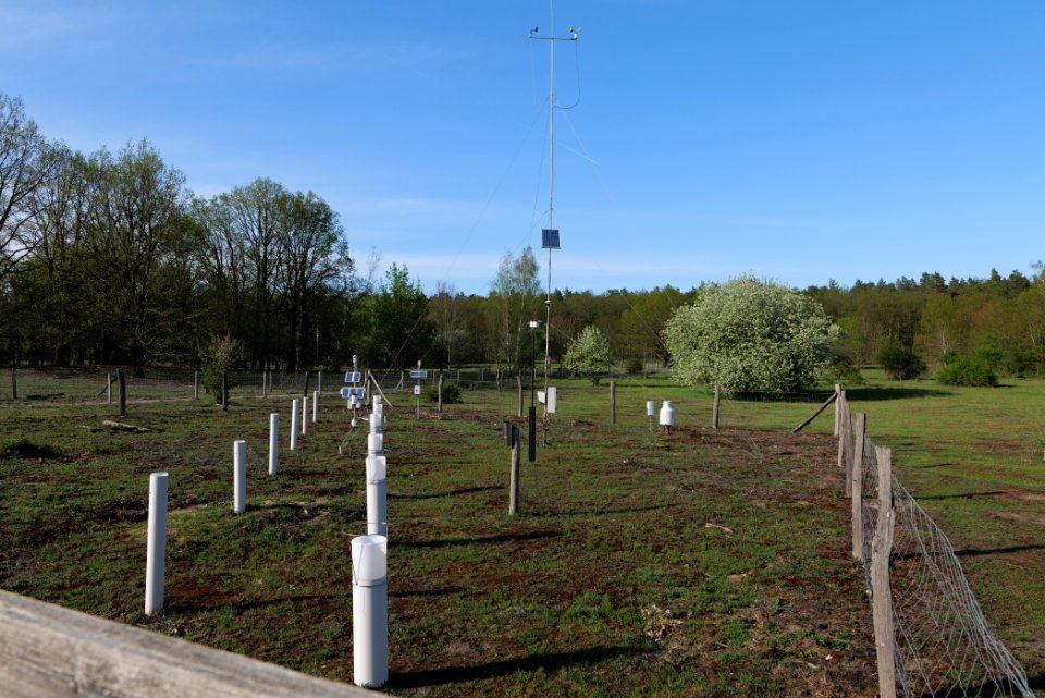 Dahlemer Feld Grunewald 2021-05-10 17