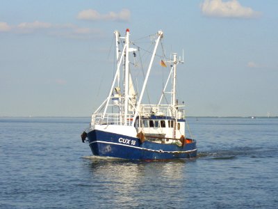 CUX 18 Goedeke Michel