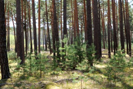 Dahme-Heideseen 2021-05-09 08