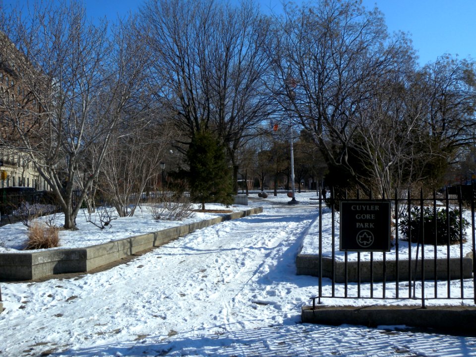 Cuyler Gore Park snow jeh