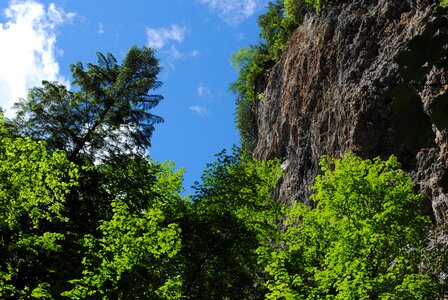 Forest rock canyon