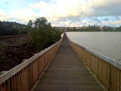 Cycleway Towards East From Hobson Bay photo
