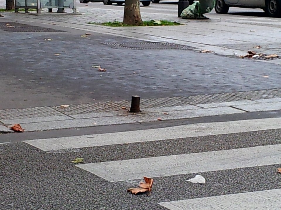 Cycle lane by day in Paris 34