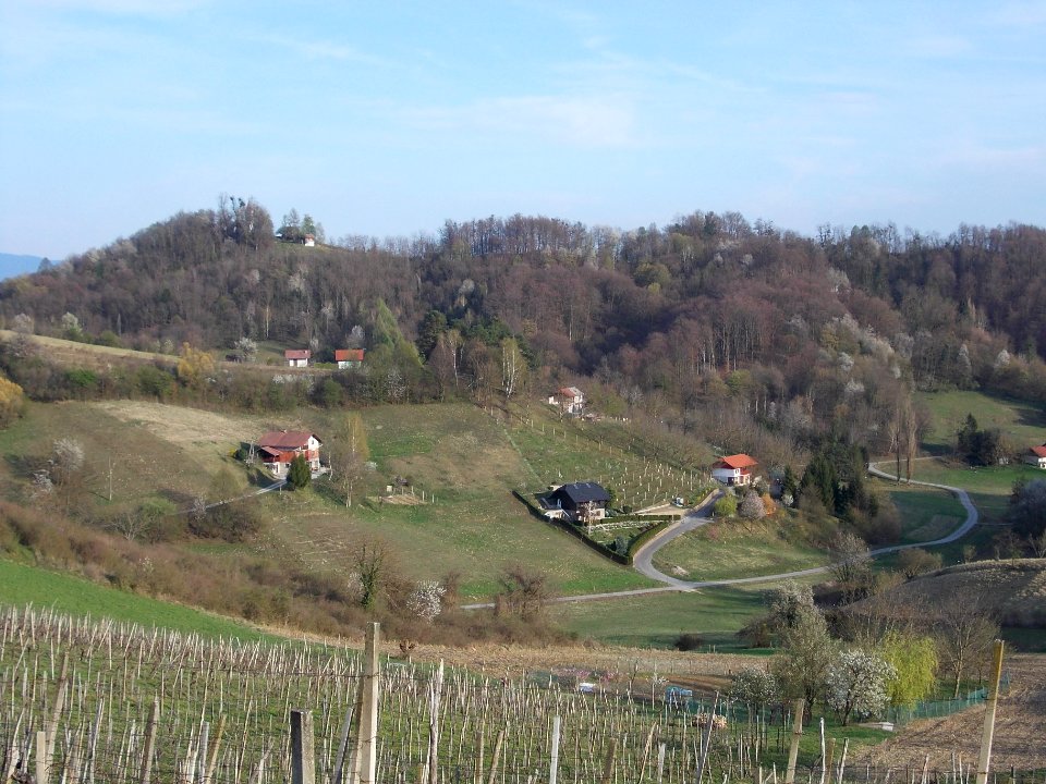 Curnovec, Brežice 01