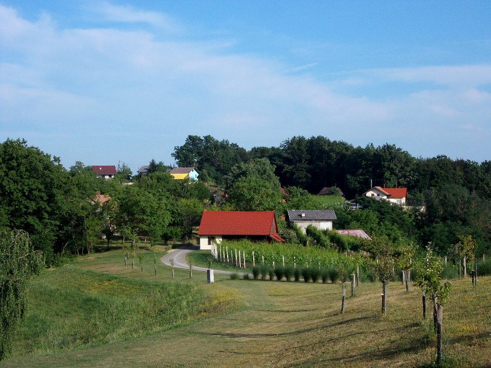 Curnovec, Brežice 04