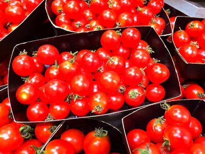 Dish vivid vegetables
