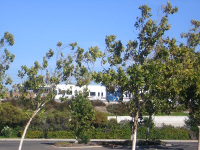 Curtner VTA 1503 02