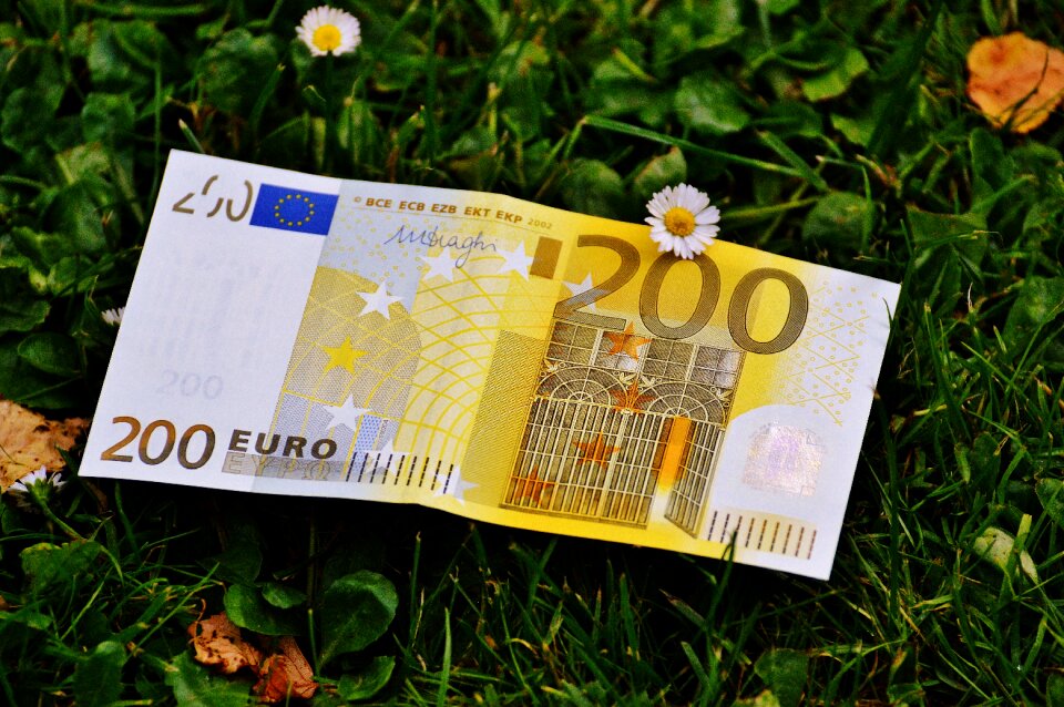 Currency finance dollar bill