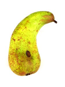 Curved conference pear 2017 B