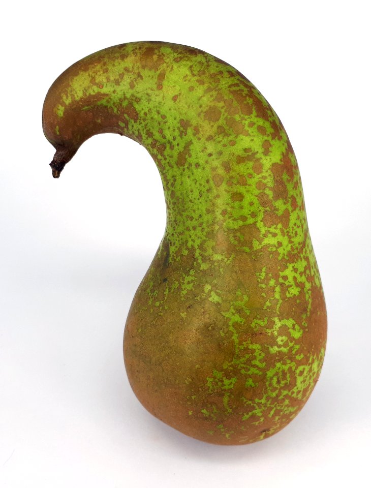 Curved conference pear 2017 E