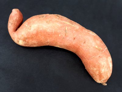 Curved sweet potato 2017 A1