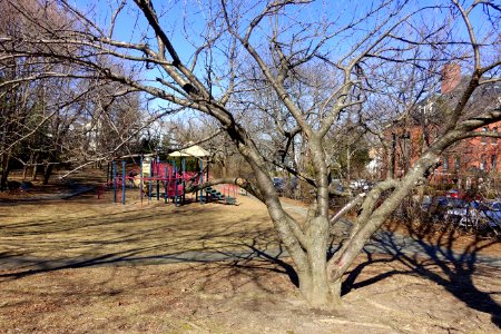 Cutter School Condominiums playground - Arlington, MA - DSC09124