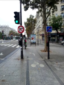 Cycle lane by day in Paris 03