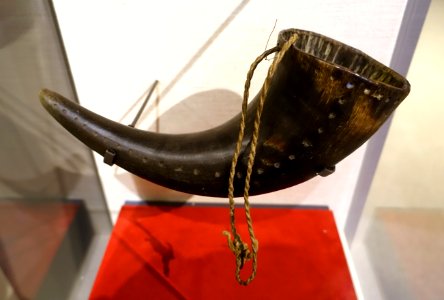 Cup, buffalo horn - Native American collection - Peabody Museum, Harvard University - DSC05796
