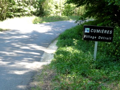 Cumières-le-Mort-Homme (Meuse) (01)