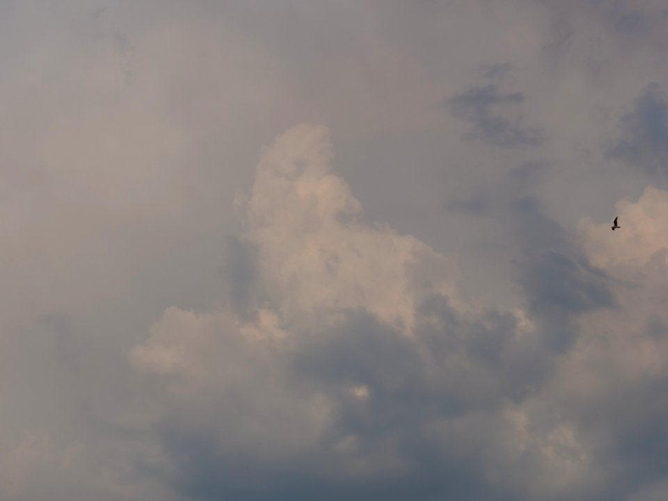 Cumulonimbus behind Havel from west 2019-06-03 04