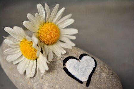Love friendship partnership