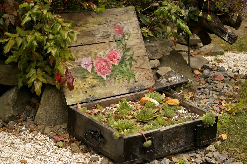 Arrangement garden plants the idea of