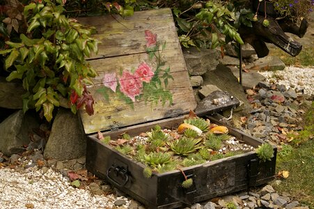 Arrangement garden plants the idea of