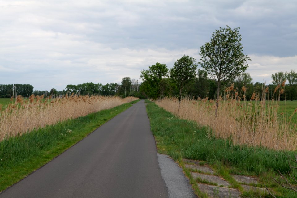 Cyclestreet in Fehrbellin 2020-05-15 05