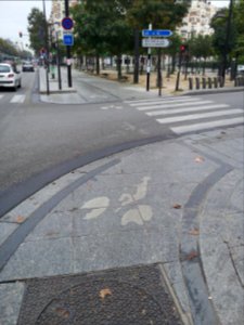 Cycle lane by day in Paris 25