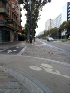 Cycle lane by day in Paris 21