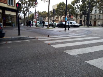 Cycle lane by day in Paris 33