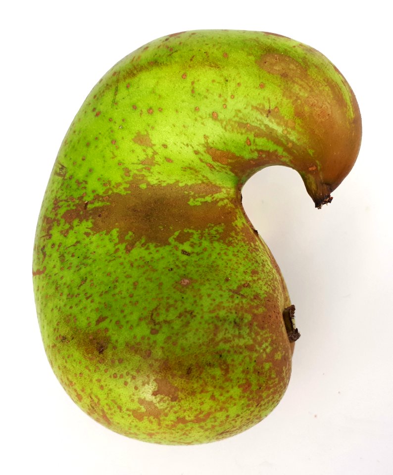 Curved conference pear 2017 D